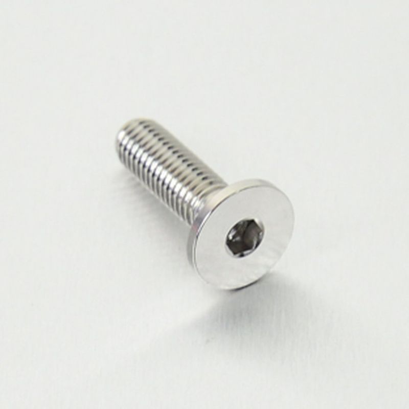 Bolt, Rustfritt stål, bremsebolter, BMW, M8 x 26mm, S1000R